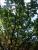 DSCF2864